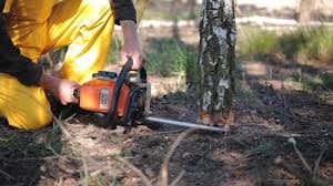 Best Lawn Watering Services  in Terrace Heights, WA